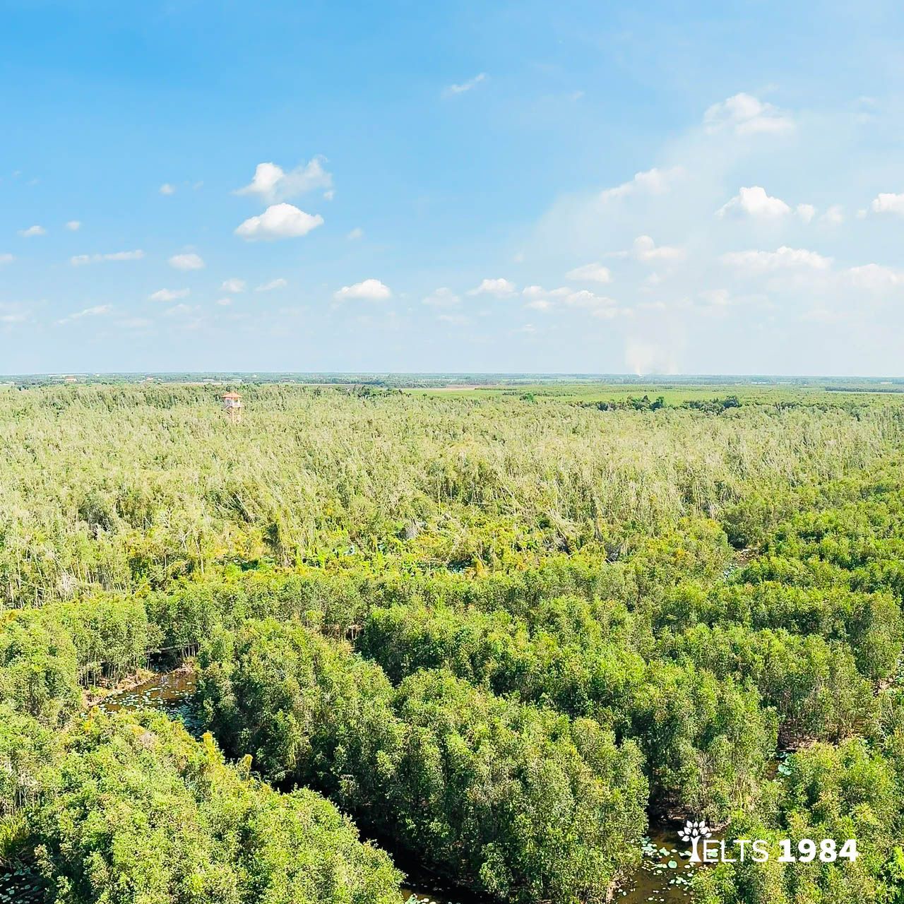 Rừng Tràm Long an 1 2