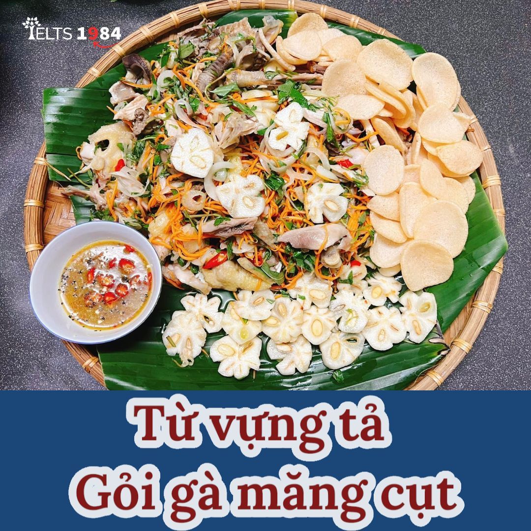 [vocab Tả Món Gỏi Gà Măng Cụt]