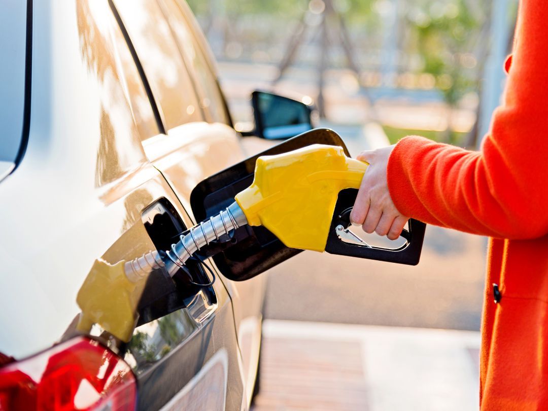 sample đề thi 05/09/2024 topic Environment