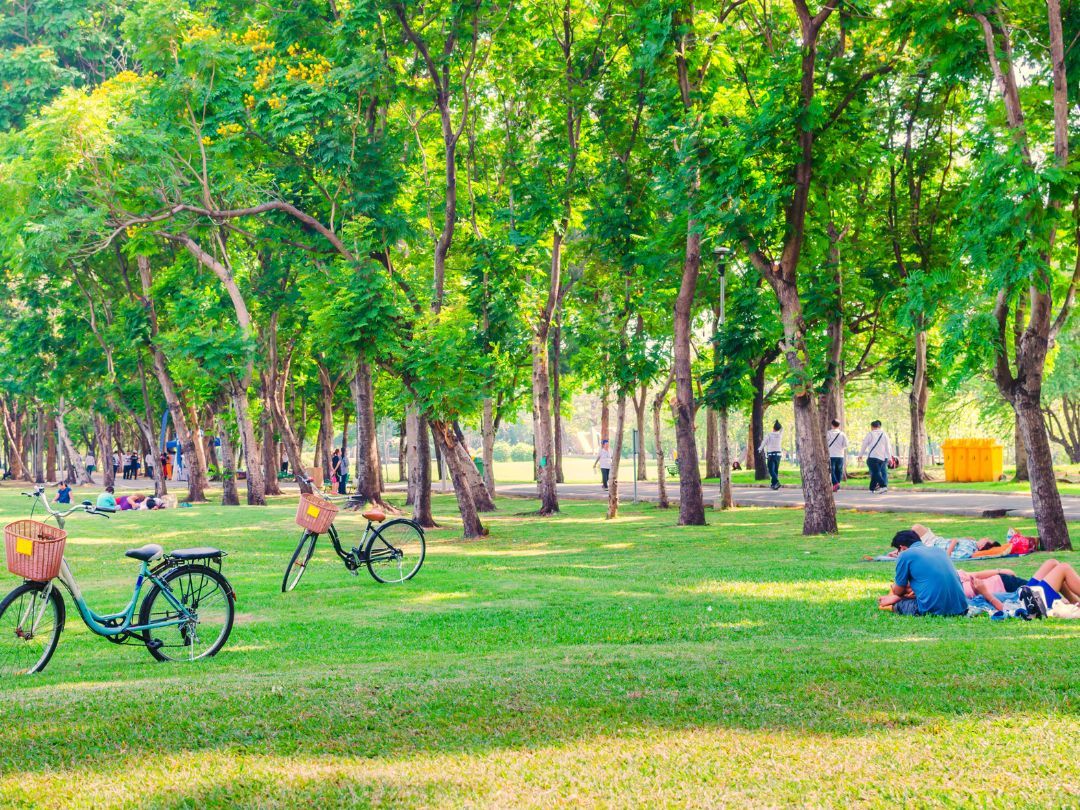 sample đề 13/02/2025 topic environment