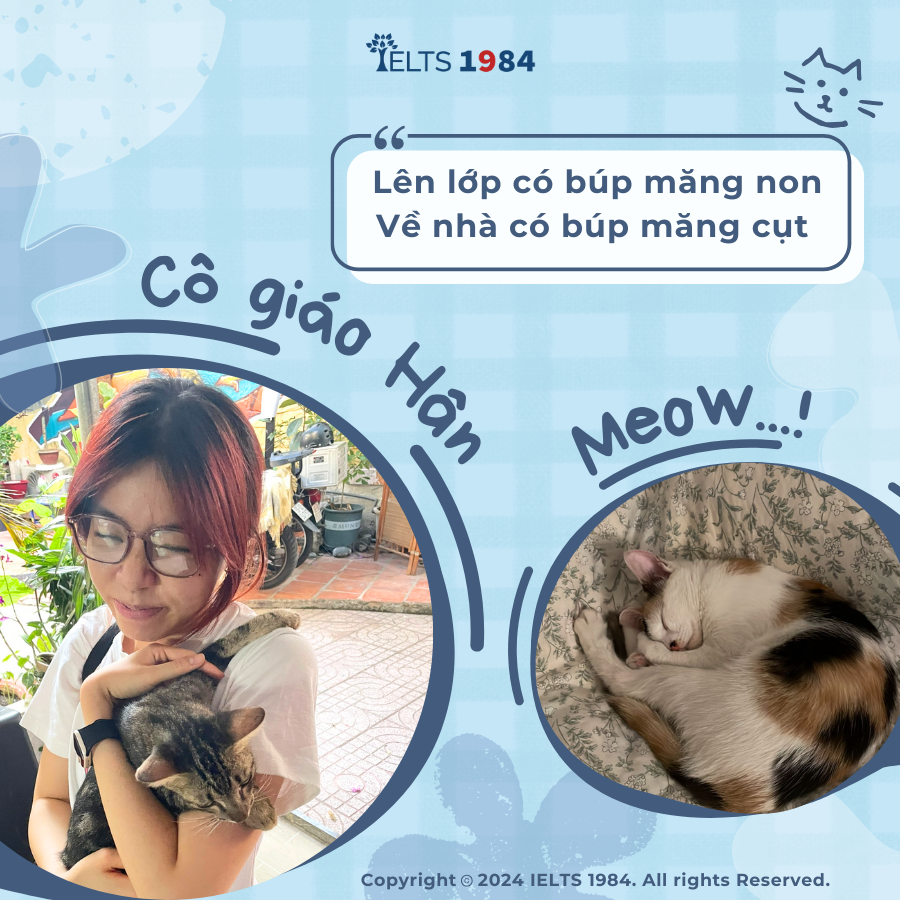 Co Giao Han Yeu Meo 1