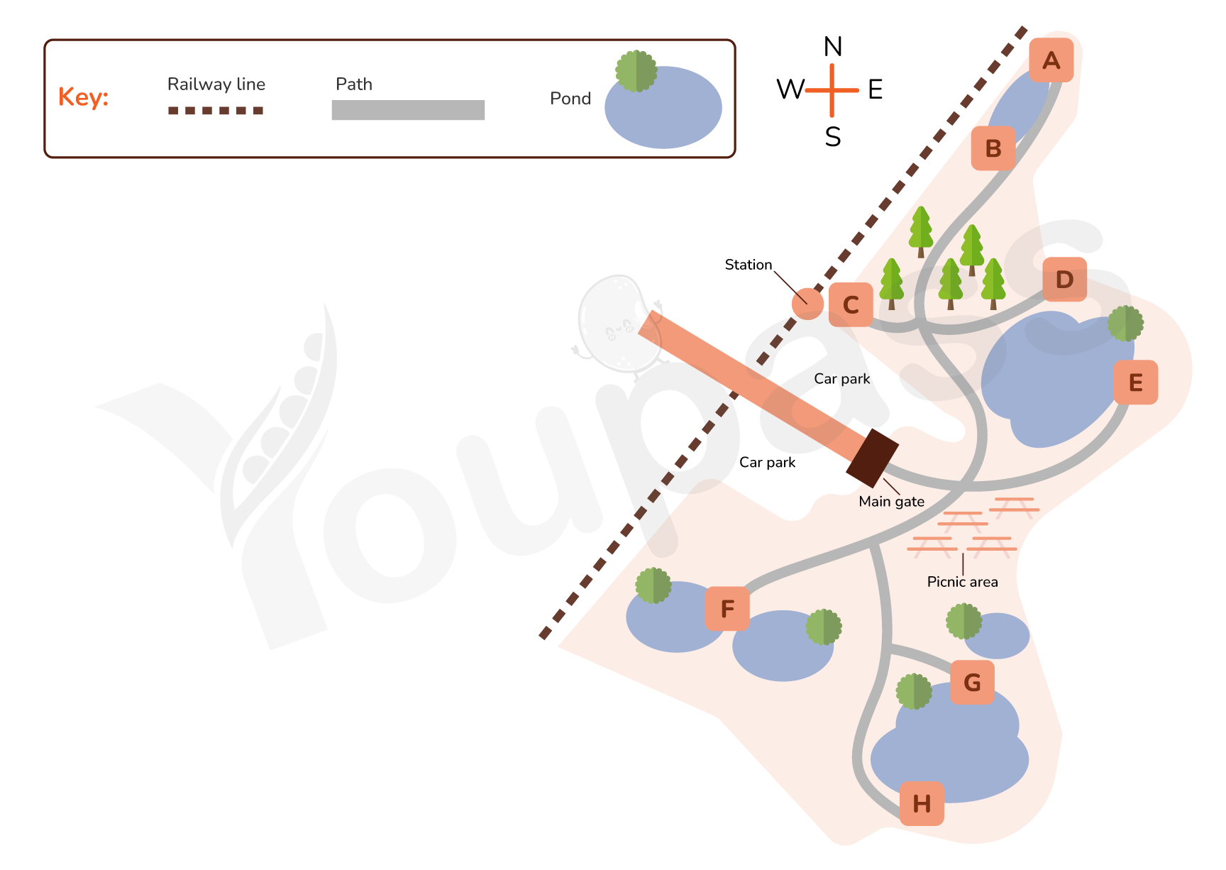 Youpass Ielts Listening Clifton Bird Park