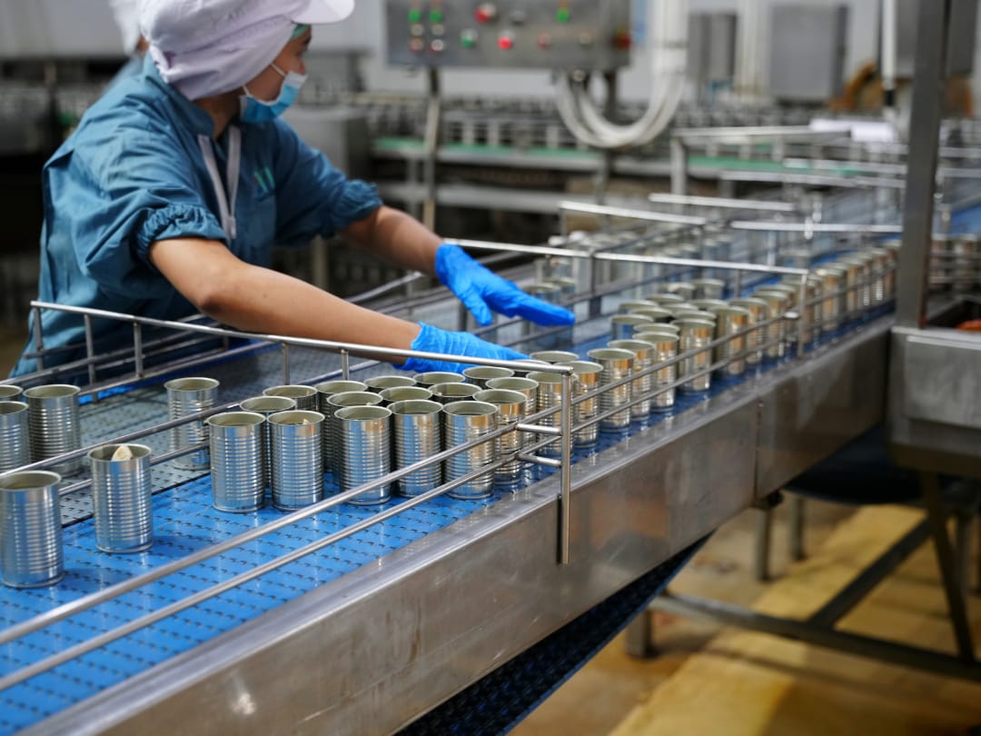sample dạng Process đề Pineapple Production Steps