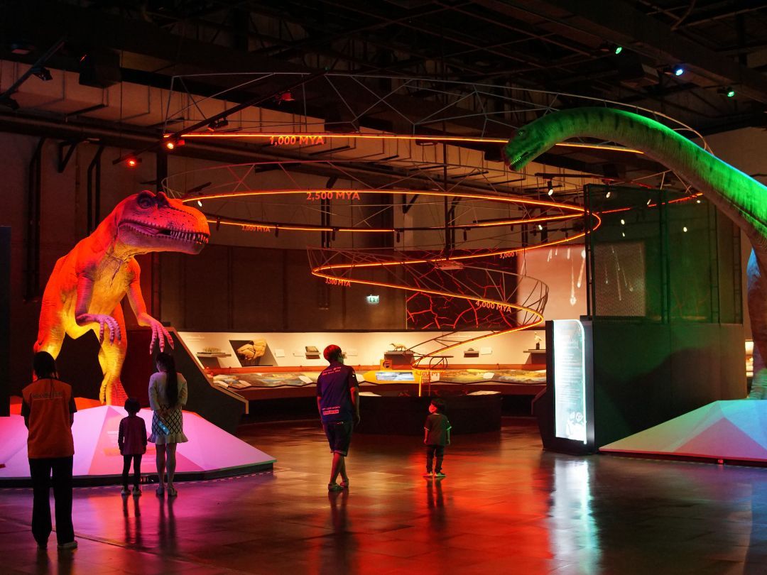 sample đề thi 12/05/2024 topic Society and Cultur