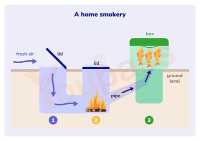 Luyện đề Task 1 - Home Smokery Structure and Process