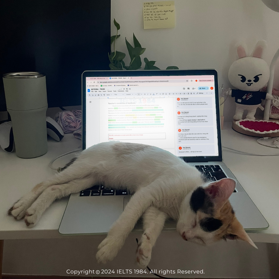 Co Giao Han Yeu Meo 2