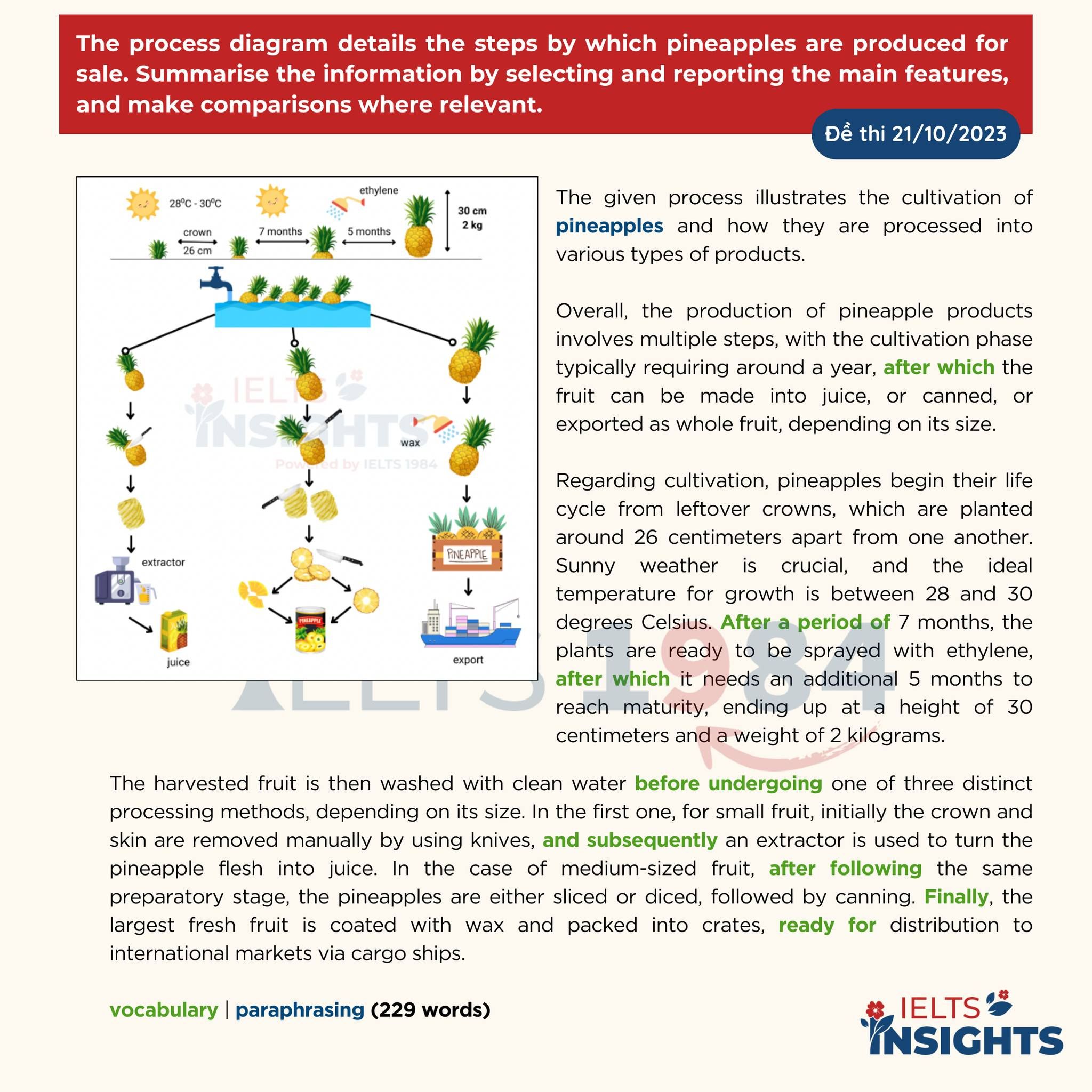 [cách Mô Tả Một Process Từ Số 0]   Đề Thi Ngày 21:10:2023
