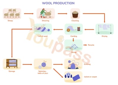 Luyện đề Task 1 - Wool Production Process