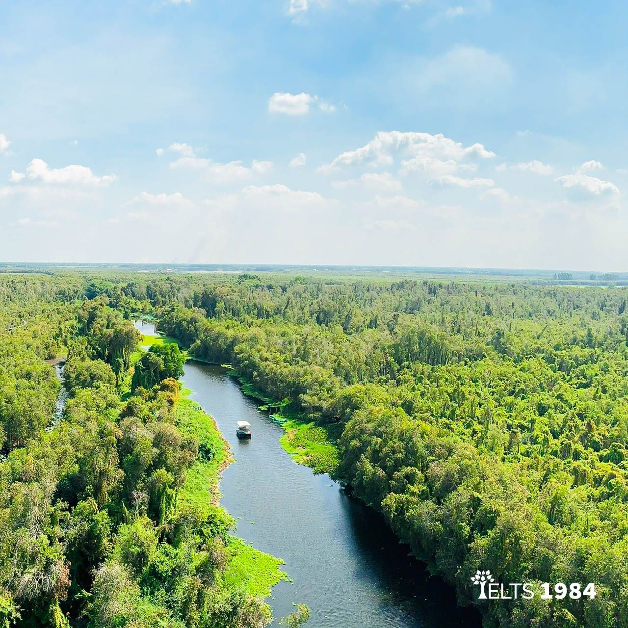 Rừng Tràm Long an 1 3