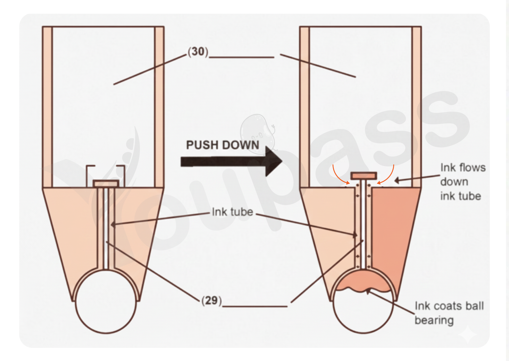 Youpass Ielts Listening Biros Ballpoint Pen
